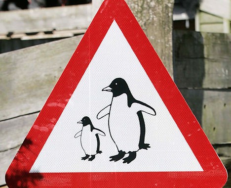 Penguins Penguins